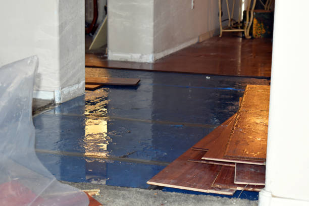 Professional Burst Pipe Cleanup technician working in Little Falls, NY